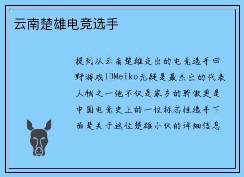 云南楚雄电竞选手