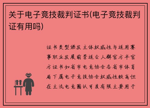 关于电子竞技裁判证书(电子竞技裁判证有用吗)